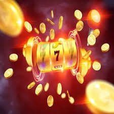 7wears Bingo